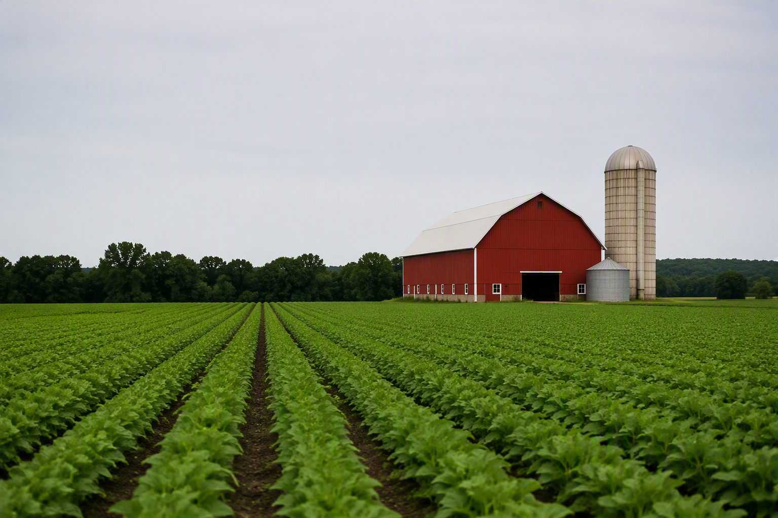 Farm list and ownership setup in Farmeerz