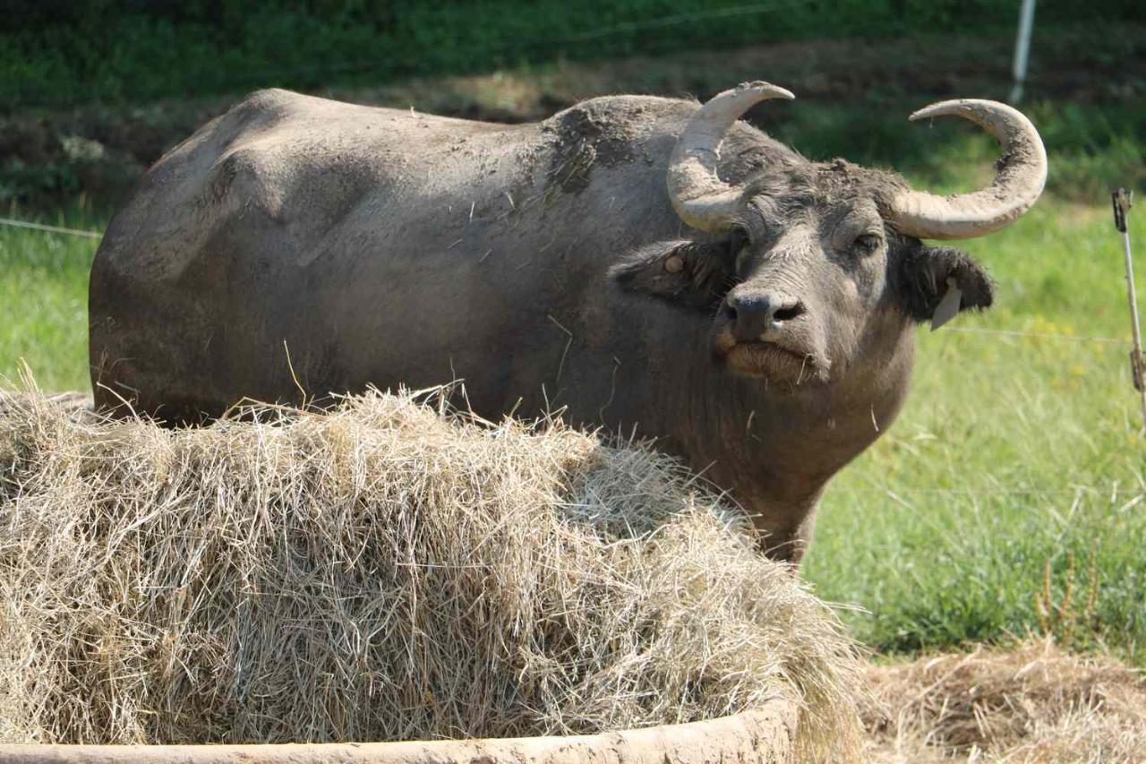 Happy Farm Store