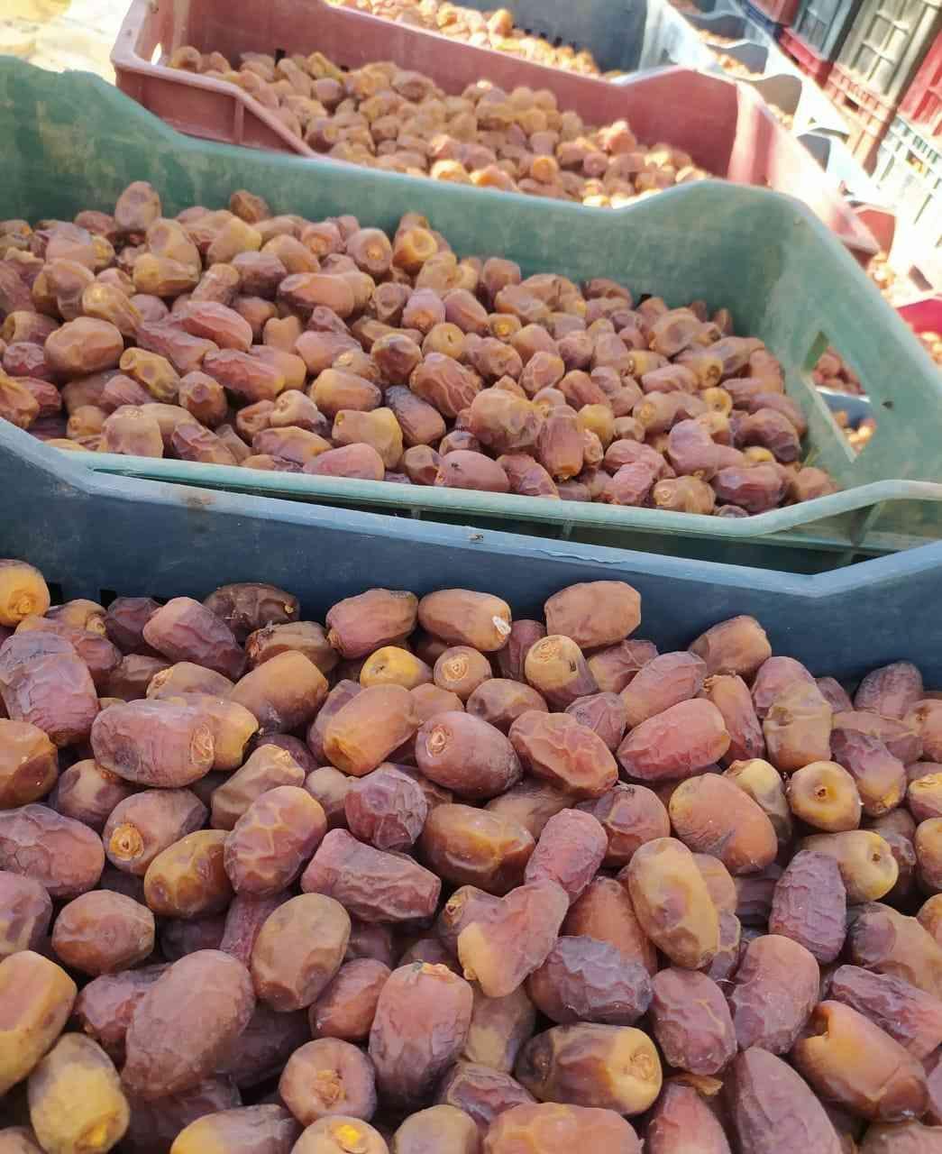 Dates